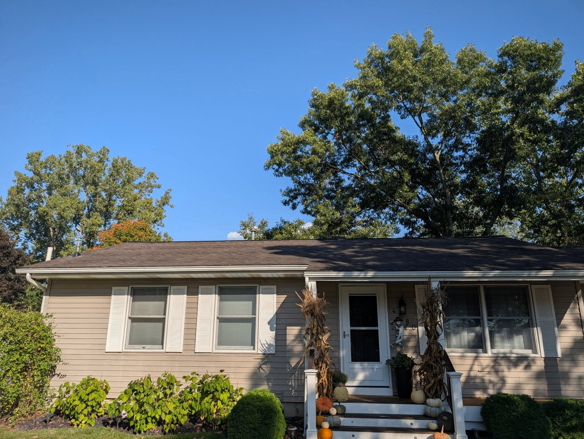Front Elevation Roof Refresh